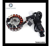 Statore Per Aprilia Sport City 250 Del 2009 2010 2011 2012