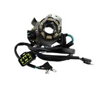 Statore Per Honda CR 250R 2000 2001 | 31100-KZ3-J21