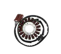 Statore per Moto Alternatore per Moto Bobina statore per Piaggio 58080R 82736R 58039R 828677 per Beverly 500 400 per Ie E3 per X9 500 per Evolution per Bobina ABS Magneto statore per Moto
