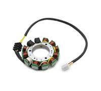 Statore per Moto Bobina statore per Moto 21003-1121 per Kawasaki per KL250 per KLR250 1985-2005 per KL250-D2 per KL250-D3 per KL250-D4 Bobina Magneto statore per Moto