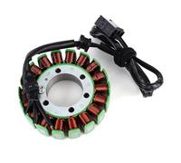 Statore per Moto Bobina statore per Moto per Kawasaki per ZR900 per Z900 ABS 2017-2023 per KLZ1000 per Versys 1000 2012-2014 21003-0174 21003-0203 21003-0129 Bobina Magneto statore per Moto