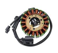 Statore per Moto, generatore per Moto, Bobina dello statore per BMW, G310GS, G310R, Tutti Gli Anni di Produzione, Bobina, Magnete per Moto, statore