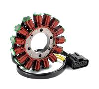 Statore per Moto Generatore per Moto Bobina statore per Ducati per Panigale 1199 1199R 1199S per Superleggera per Tricolore per MTS1200 Bobina Magnete statore per Moto