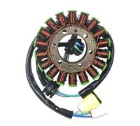 Statore per Moto Generatore per Moto Gruppo Bobina statore per YFM700RSP per YFM700R per YFM700 per Raptor 700R 700 Bobina Statore Magnete Moto