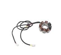 Statore per Moto, Magnete per Moto, Bobina statore per Kawasaki 21003-1172 21003-1262 per KLF220 per Bayou 220 1988 1989 1990 1991 1992 1993 1994 1995 Bobina, Magnete per Moto, statore