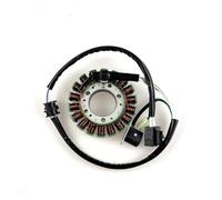 Statore per Moto, Magnete per Motore Moto, Bobina statore 5VU-81410-02 per XP500 per TMAX 500 2004 2005 2006 2007, Bobina, Magnete per Moto.