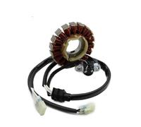 Statore per Moto OEM: 1DX-81410-00 per WR450 per WR450F 2012 2013 2014-2015 Accessori Bobina statore Magnete Moto Bobina Statore Magnete Moto