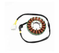 Statore per Moto per CBF1000 per SC58 2006 2007 2008 2009 2010 31120-MGJ-D01 31120-MFA-D01 Bobina statore Magnete generatore Motore Moto Bobina Magnete statore Moto