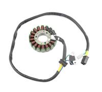 Statore per motocicletta 32101-42A40 Generatore Di Statore E Magnete Per Motocicletta Per Suzuki DR200SE 1996 1997 1998 1999 2000 2001 2002 2003 2004 2005-2013