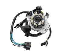 Statore per motocicletta Magneto generatore per motore di motocicletta Bobina statore per Polaris Per RZR 170 Per RZR 170 Per Outlaw 50 0454944 Per BD3-H1410-00 Bobina Statore magnete per motocicletta