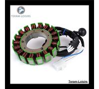 Statore per Yamaha 1TA-81410-20/4PP-81410-00/1RM-81410-20