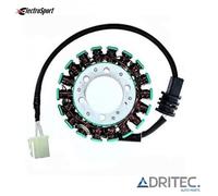 ✅ STATORE per YAMAHA FZ6 600 S2 NHG (2007-2010) marca ELECTROSPORT