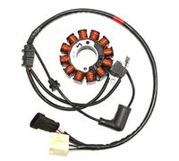 Kokusan Trifase 12 Polos Piaggio Stator Argento
