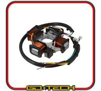 STATORE PIAGGIO CIAO SI 50 BRAVO GRILLO ACCENSIONE ELETTRONICA 4 POLI 6 FILI