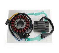 Statore+ Regolatore+ Guarnizione per Suzuki DR 250 1998-2000 DR-Z 250 2001-07 T0