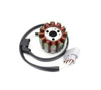 Statore Ricarica Kit Volano Magnete Motore Moto Per YZF R1 FZ1 FZ1-NA FZ8 FZ8-N Accessorio Bobina Generatore(C)