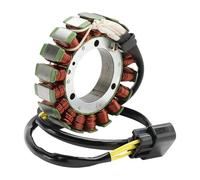 Statore Ricarica Statore Generatore 38096 Per Linhai M565Li EFI M570L Promax 570 T-Boss 570