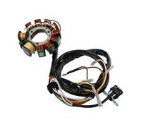 Statore Ricarica Statore Magnete Generatore Moto Per Polaris Per SPORTSMAN 500 400 XPLORER WORKER 335 Magnum 425 2x4 4x4 6x6