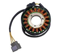 Statore Ricarica Statore Per Generatore ATV ODES 650 800 1000, Ricambio, Codice Articolo 21170103101 21040109703