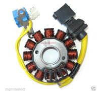 STATORE ROTORE Piaggio BEVERLY,LIBERTY,Vespa Granturismo ,X8,X9 200 246350142