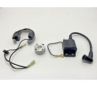 Statore Rotore Volano Accensione Bobina Confezione + Cavi HT Per KTM 50CC 50LC