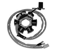 STATORE RUNNER STALKER EASY MOVING TYPHOON FREE SFERA ZIP LIBERTY 50 - 168030