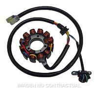 Statore SGR 12 Poli Con Pick-Up Honda CRF 450 X Per Moto Ricambi Accessori