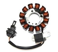 STATORE SGR 12 POLI PIAGGIO ZIP 4T (C250001 LBMC25C) 50 2000 2014