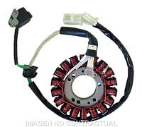 Statore SGR 18 Poli 12V 200W (Motore Yamaha 250 4T) Per Moto Ricambi