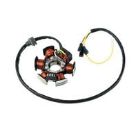 STATORE SGR 6 POLI APRILIA RS4 50 2011 2016
