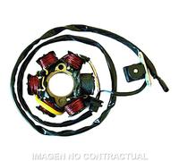 Sgr 6 Poles Pick-up Peugeot 50 130w Stator Giallo