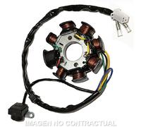 Statore: SGR 8 Poli (Motori Cinesi gy6-8c) Moto Motore Ricambi Ciclomotore