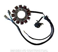 Statore: SGR Monofase 12 Poli Yamaha XT Moto Motore Ricambi Ciclomotore