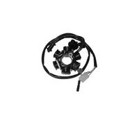 STATORE SGR PEUGEOT LOOXOR CARB. 50 2001 2003