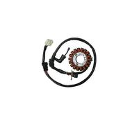 STATORE SGR PIAGGIO BEVERLY IE 4T-4V E3 (M69300) 350 2011 2015