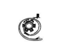 STATORE SGR PIAGGIO VESPA ET2 50 1997 1999