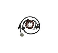 STATORE SGR PIAGGIO VESPA LX IE E3 4V (M68100) 125 2009 2011