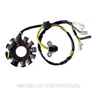 Statore SGR Trifase 11 Poli Con Pick-Up 2 Cavi (Mot Sym 125-150-200 4T Carb)