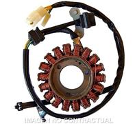 Sgr Trifase 18 Poles Pick-up 2 Wires 4163058 Stator Oro