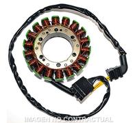 Sgr Trifase 18 Poles Honda Cbr 929 Rr Fireblade 4169010 Stator Argento