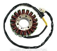 Statore SGR Trifase 18 Poli Honda VFR 800 FI Per Moto Ricambi Accessori
