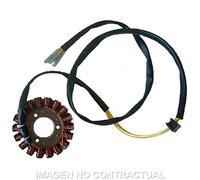 Statore SGR Trifase 18 Poli Suzuki GSX 750 Per Moto Ricambi Accessori Parti