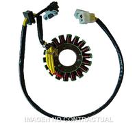 Statore: SGR Trifase 18 Poli Suzuki Moto Motore Ricambi Ciclomotore Accessori