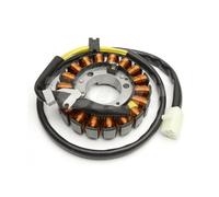 Tecnium Sh Scoopy 2001-2004 Stator Argento