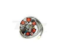 Statore Tecnium-Gilera/Piaggio Runner / Zip / Vespa et2 830294 per Moto Ricambi