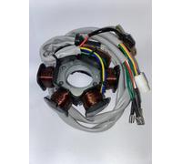 Statore Tecnium Hexagon LX4 Liberty Vespa ET4 294111 per PIAGGIO