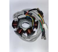 Statore Tecnium-Piaggio Hexagon LX4 Liberty Vespa ET4 294111 Per Moto Ricambi