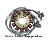 Statore Tecnium-Yamaha X-Max 125 Per Moto Ricambi Accessori Parti