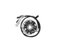 Statore: Kokusan 6 Poli 12v 85w (Motore Derbi Senza Avvio Elettrico) Moto Motore