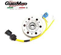 STATORE VOLANO ACCENSIONE SCOOTER MOTORE 125 200 LEADER PIAGGIO 168528